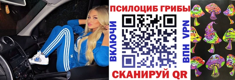 цены наркотик  Нестеров  Галлюциногенные грибы Psilocybe 